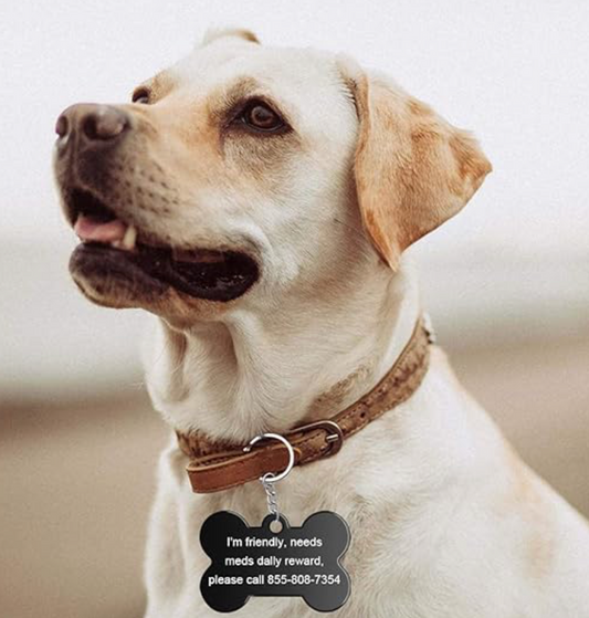 Dubbelzijdig Gegraveerd Huisdieren Naambordje