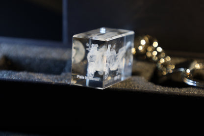 Pels Motoren Kristal Sleutelhanger met jouw Motor in 3D