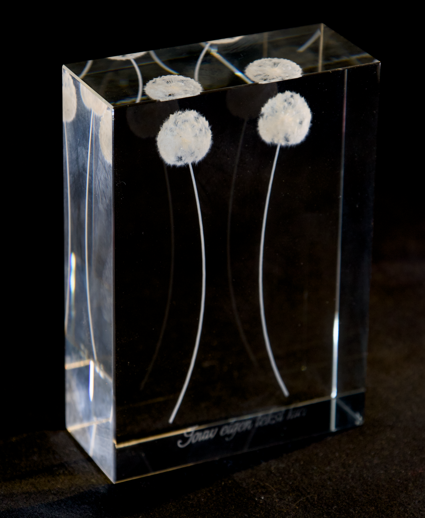 Flower in crystal at Rijdes Bloemen & Planten